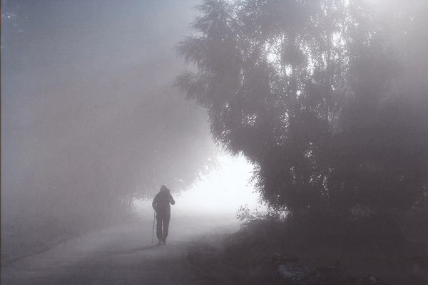 ⒸCopyright Bill Adamoski