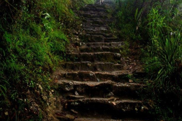 ⒸCopyright Brent Bromilow