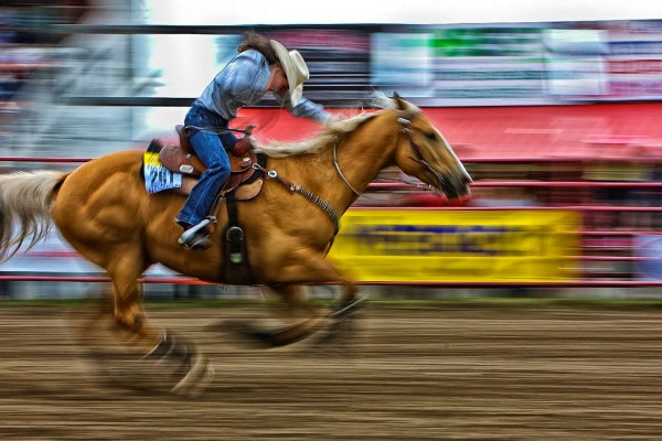 ⒸCopyright Al Popil