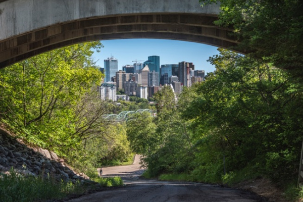 ⒸCopyright Barry Ryziuk