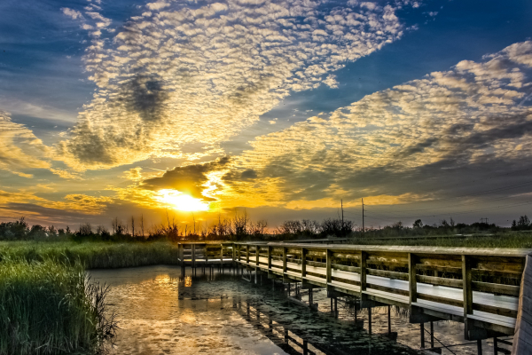 Ⓒ Copyright  Silvana Bobowik