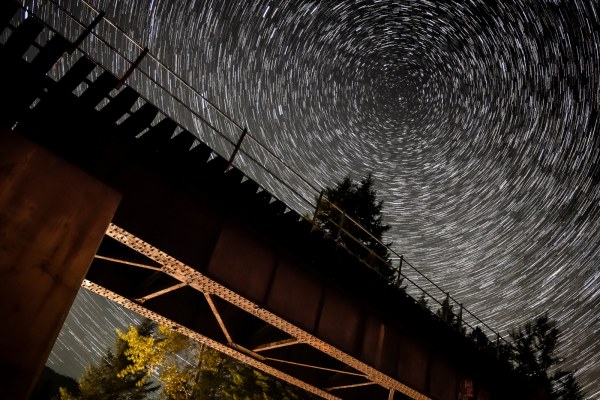 Ⓒ Copyright  Steve Pedersen