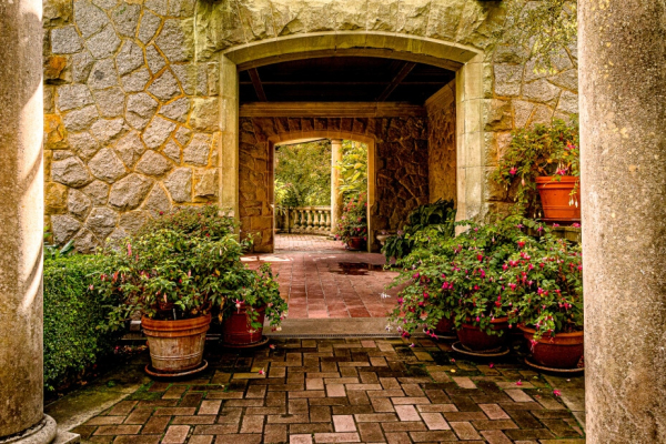 ⒸCopyright  Italo Pino